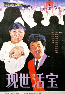国产20页