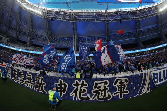 国内精品久久久久久久久野战