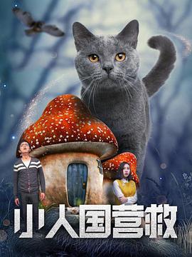 姐姐这样放就行了