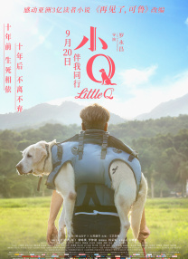 家教高级课程