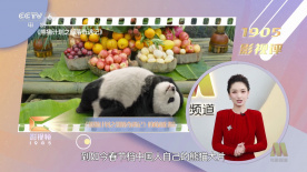 主教练好